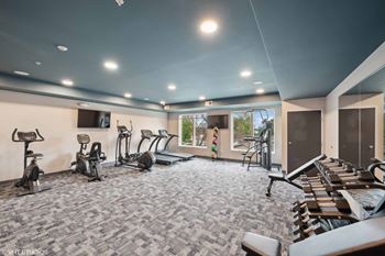 the gym is equipped with cardio equipment and state of the art treadmills